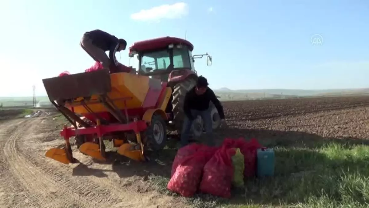 Tarım alanları artırıldı