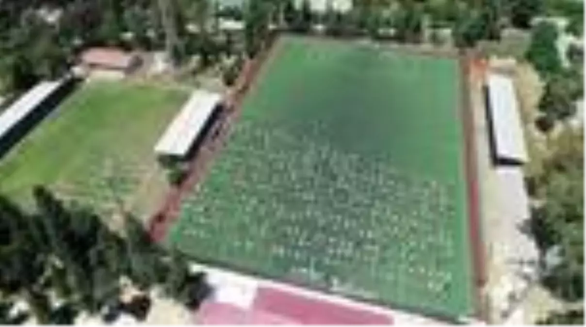 Son dakika haberi | Yüzlerce vatandaş yeşil sahalarda saf tuttu