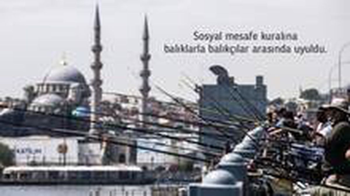 Son dakika haberleri... Bakan Koca\'dan Galata Köprüsü\'ndeki balıkçılara \'Rast Gelmesin\' sitemi