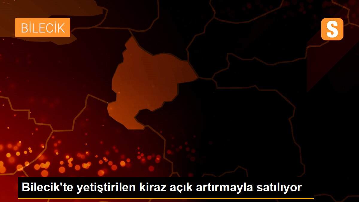 Bilecik\'te yetiştirilen kiraz açık artırmayla satılıyor