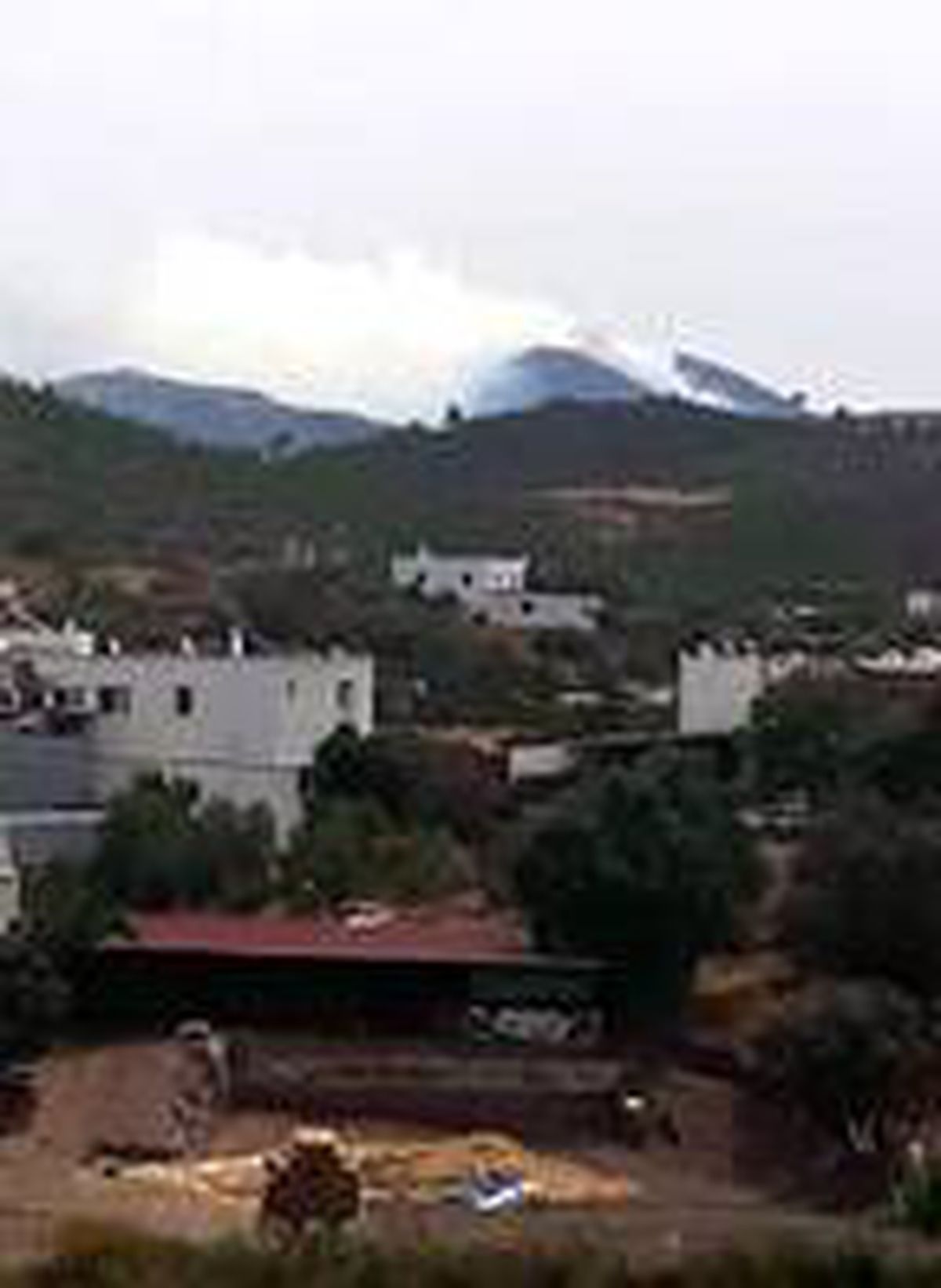 Bodrum\'da makilik alanda yangın