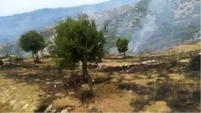 son dakika