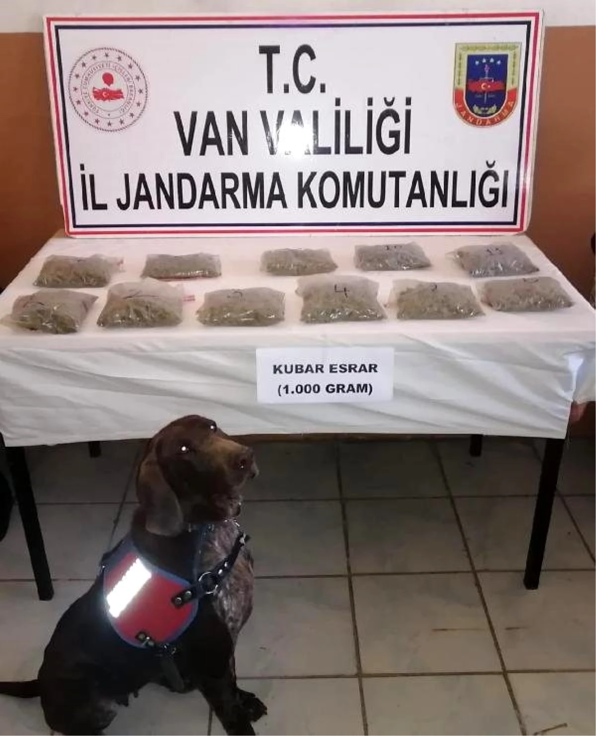 İranlının çantasındaki esrarı narkotik köpeği \'Resif\' buldu