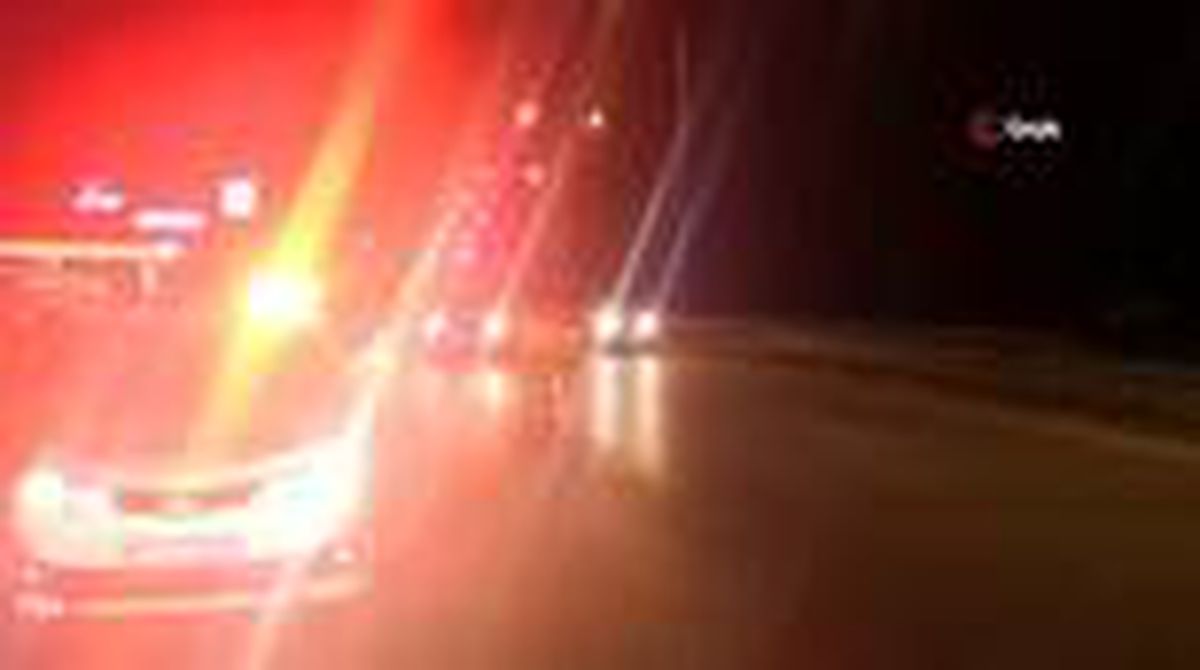 Son Dakika | Köpeğe çarpmamak ani manevra yapan kaza yaptı... Kaza anı kamerada