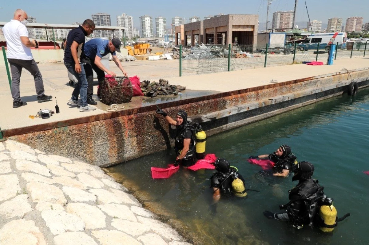 Mersin\'de dalgıç polisler sualtı dip temizliği yaptı