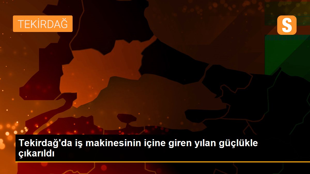 Tekirdağ\'da iş makinesinin içine giren yılan güçlükle çıkarıldı