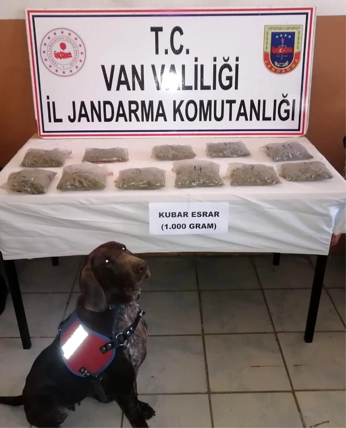 Van\'da bin gram kubar esrar ele geçirildi