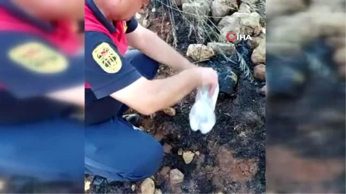 Alevlerin arasında kalan kaplumbağa itfaiye tarafından kurtarıldı