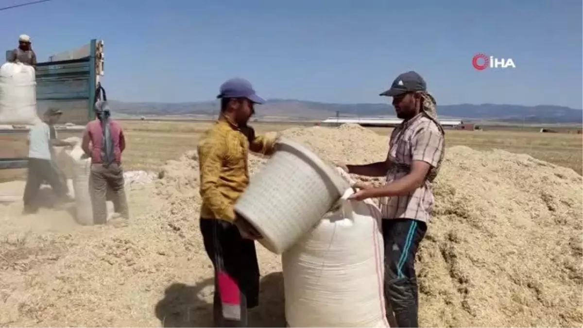 Gaziantep\'in İslahiye ilçesinde saman satışı başladı