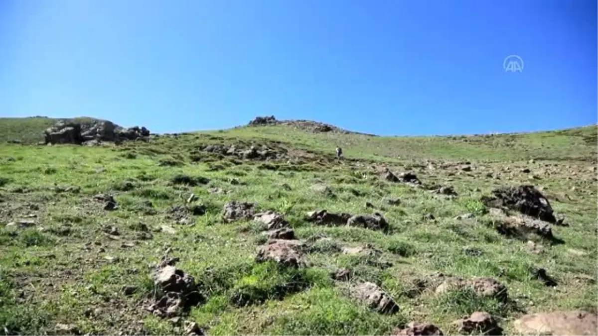 Kalp şeklindeki göl, fotoğraf tutkunlarının ilgisini çekiyor