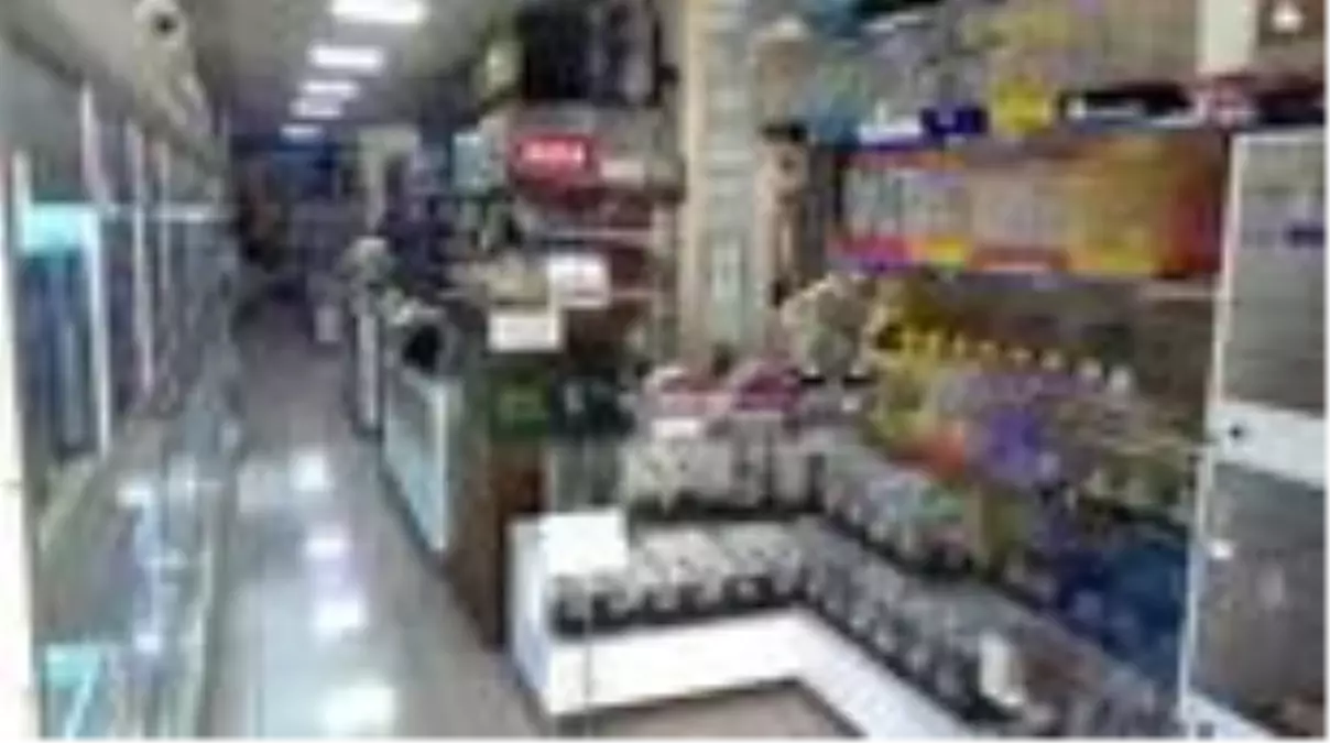 Pandemi sürecinde evcil hayvan sahiplenenlerin sayısı arttı