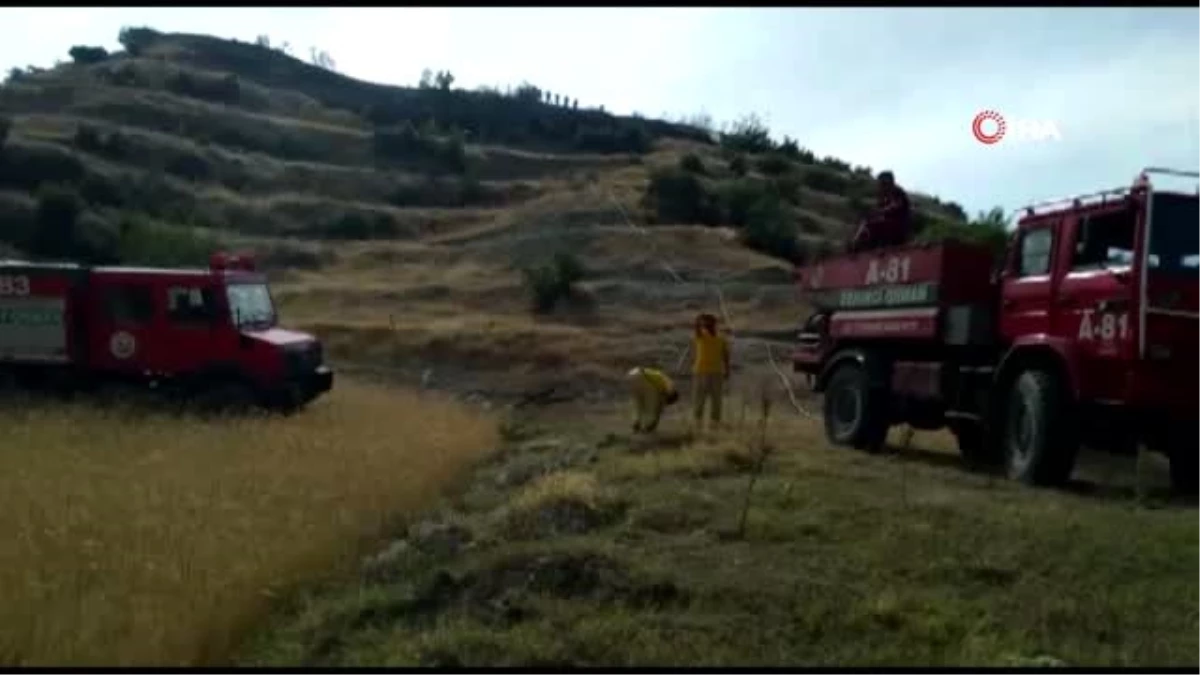 Arpa tarlasında başlayan yangın ağaçlandırma sahasına sıçradı