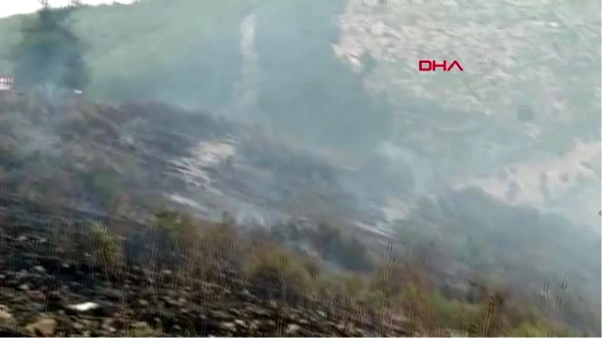 GAZİANTEP İslahiye\'de orman yangını havadan ve karadan müdahale ile söndürüldü