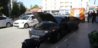 Park halindeki otomobile giren yılan paniğe yol açtı