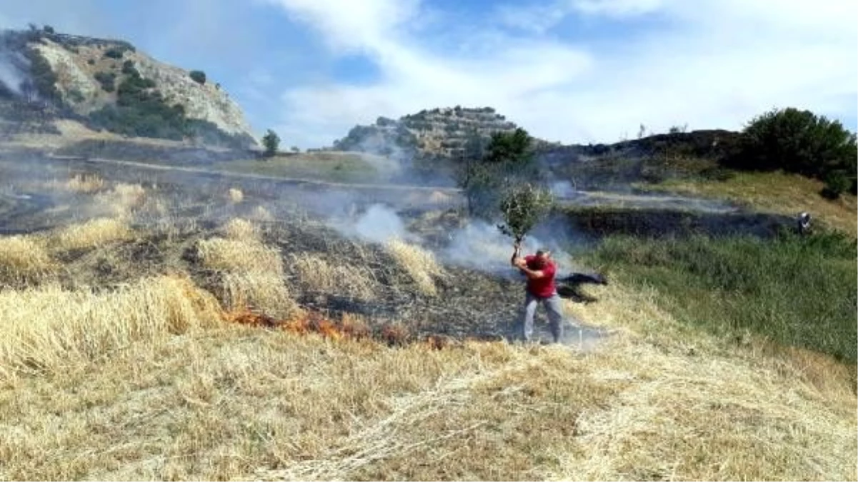 Tarım arazisinde başlayan yangın ormanı da yaktı