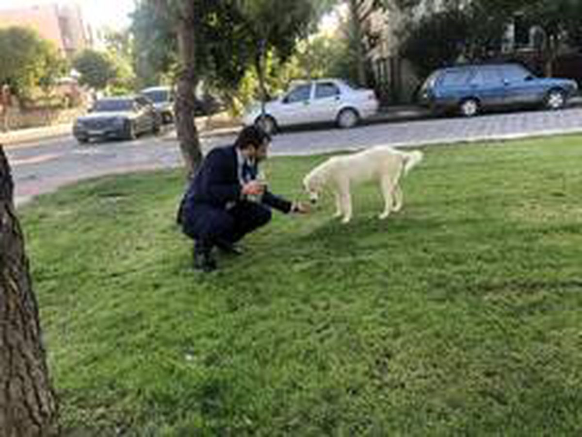 AK Parti\'li başkan sokak köpeğine eliyle su içirdi