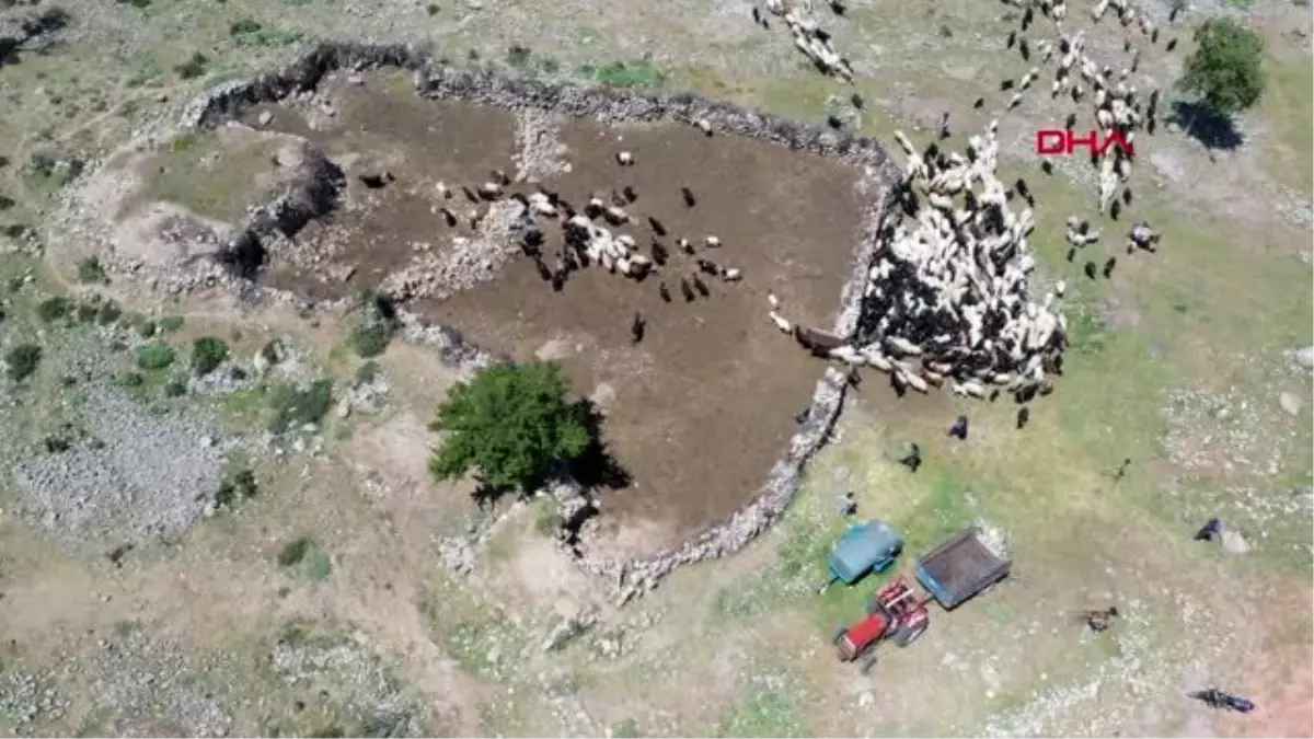 AKSARAY Anadolu kadınının zorlu yayla mesaisi