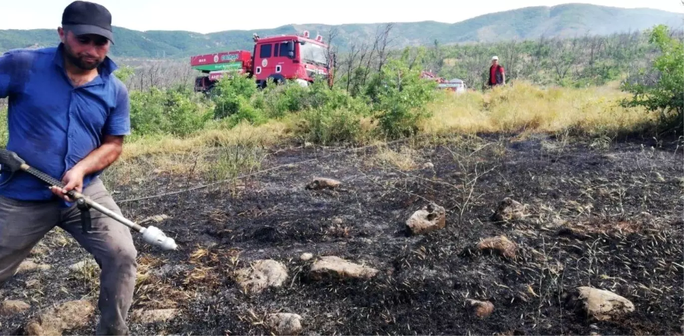 Bingöl\'de ormanlık alanda çıkan yangın, büyümeden söndürüldü