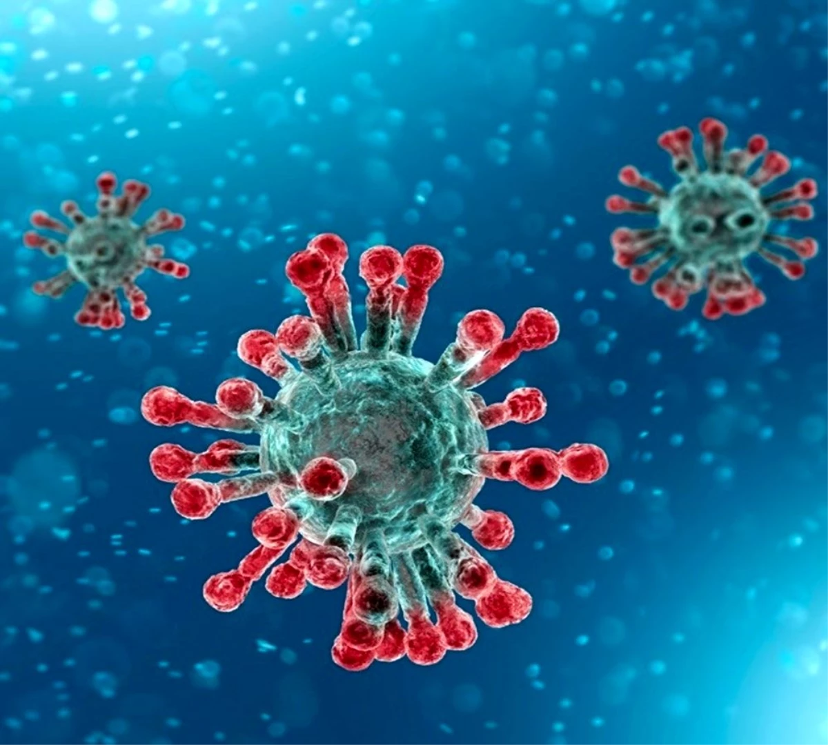 Harvard Üniversitesi: "Korona virüs 2019 sonbaharda yayılmaya başlamış"