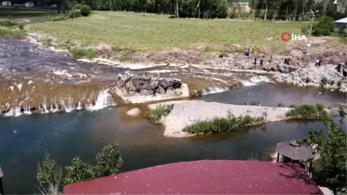 İnci kefalinin dönüşü tehlikede