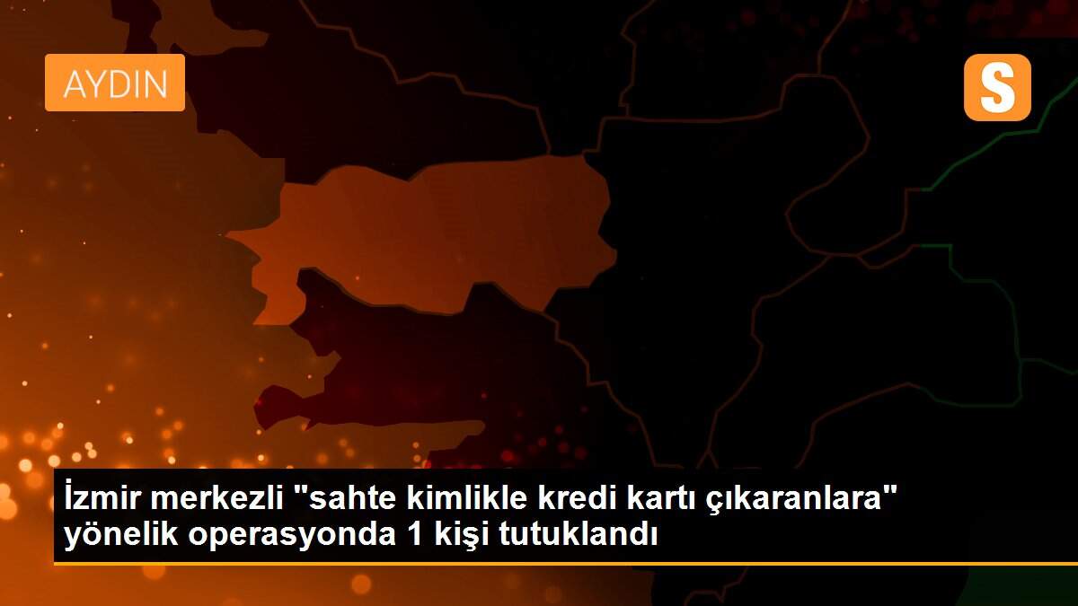 İzmir merkezli "sahte kimlikle kredi kartı çıkaranlara" yönelik operasyonda 1 kişi tutuklandı