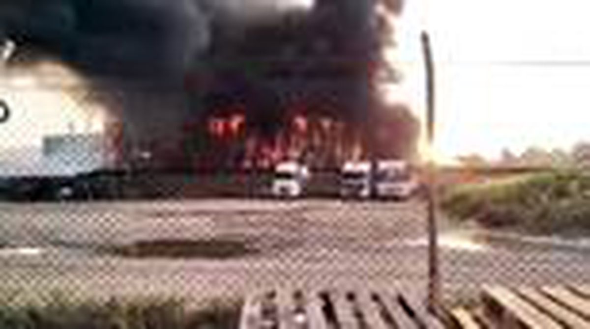 Son dakika haberleri... Sakarya\'da geri dönüşüm tesisinde çıkan yangın kontrol altına alındı