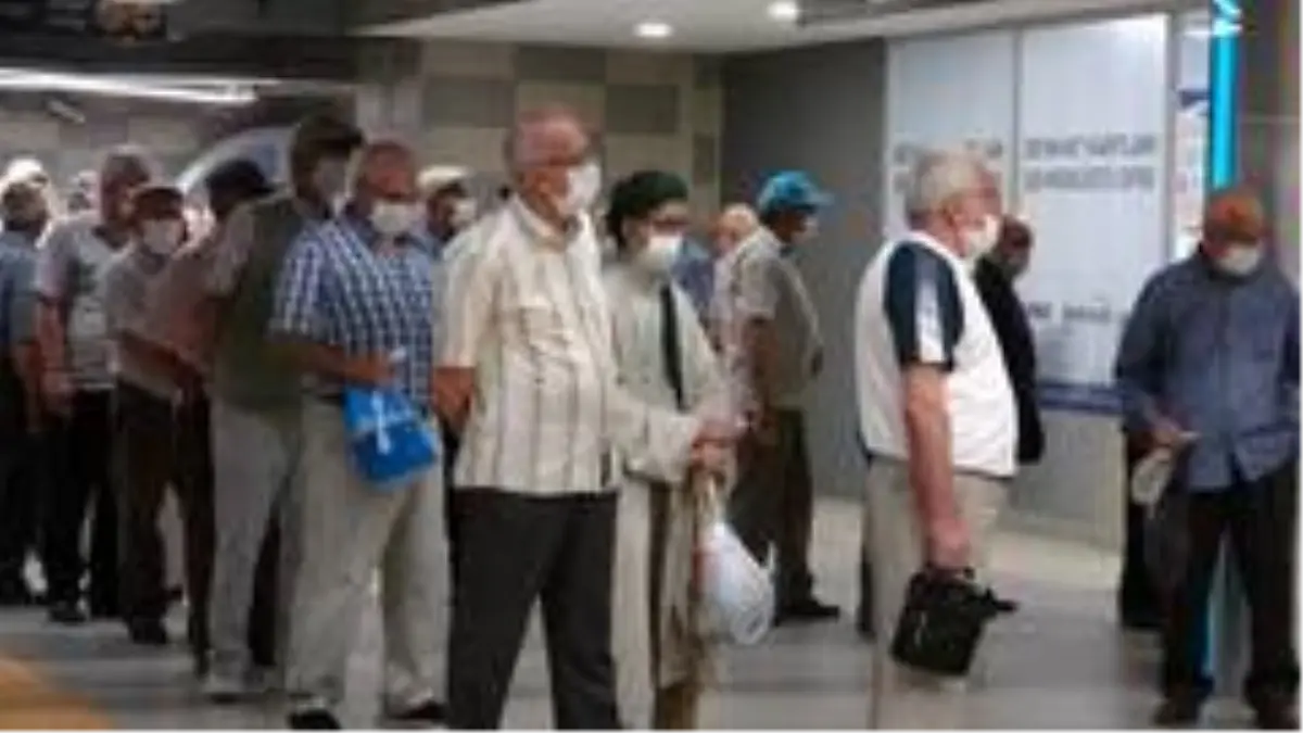 65 yaş üstünün ücretsiz ulaşım çılgınlığı, can korkusunun önüne geçti