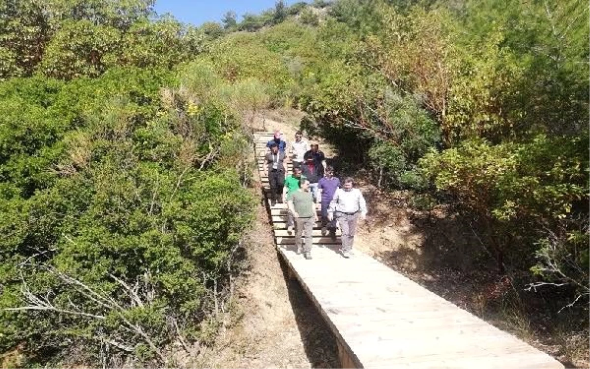 Arıburnu Cephesi yürüyüş güzergahı tamamlandı