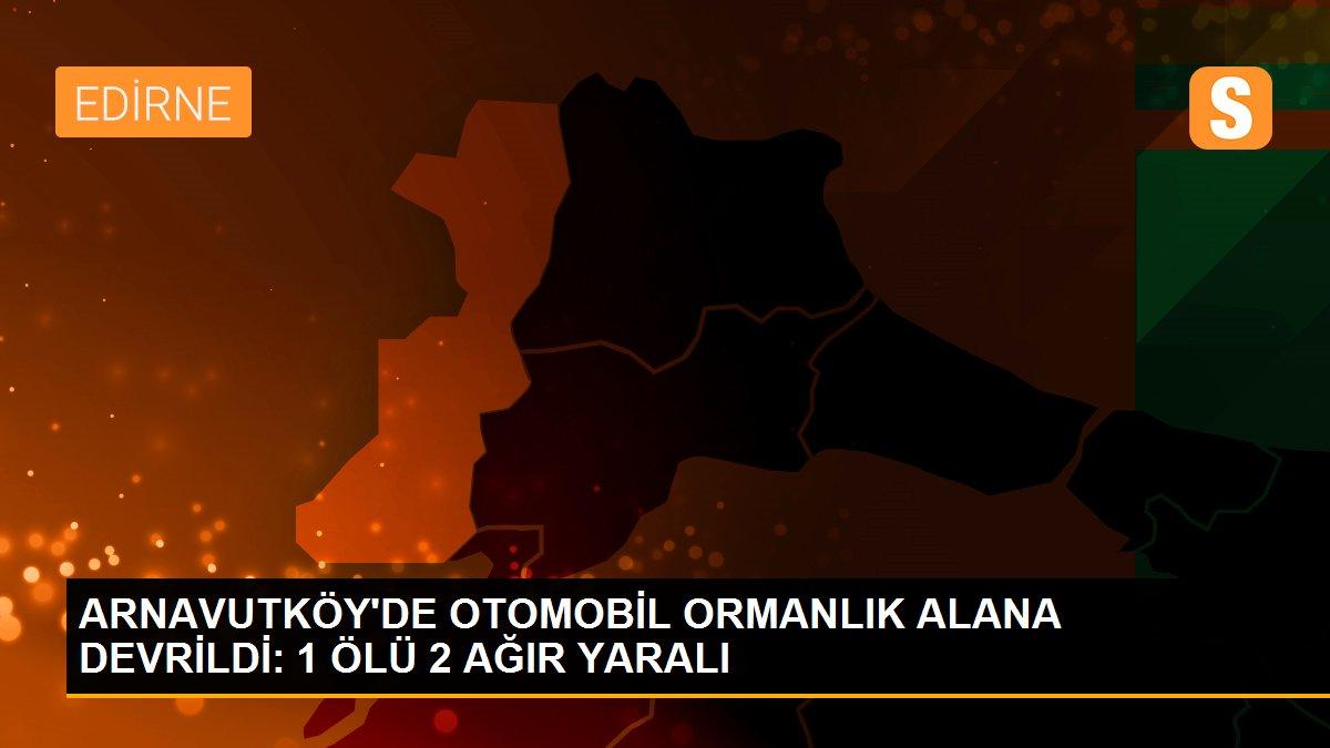 Son dakika haber! ARNAVUTKÖY\'DE OTOMOBİL ORMANLIK ALANA DEVRİLDİ: 1 ÖLÜ 2 AĞIR YARALI