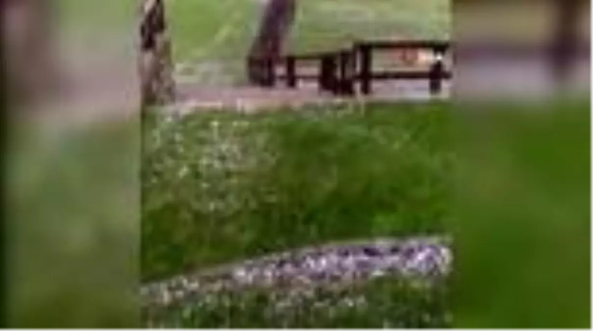 Bursa\'da ceviz büyüklüğündeki dolu kiraz ve çileğe büyük zarar verdi