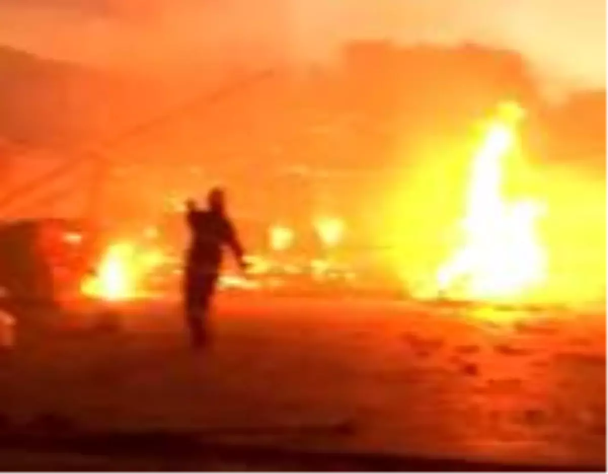 Son dakika haberi | Çocukların çakmakla oyunu yangın çıkardı