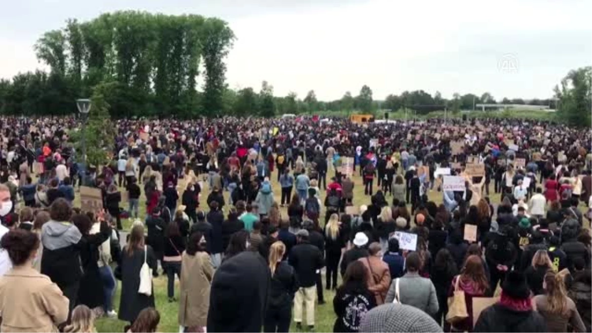 Hollanda\'da ırkçılık karşıtı gösteri