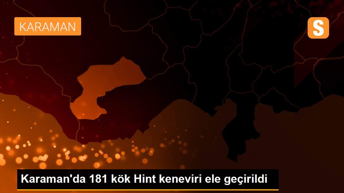 Karaman\'da 181 kök Hint keneviri ele geçirildi