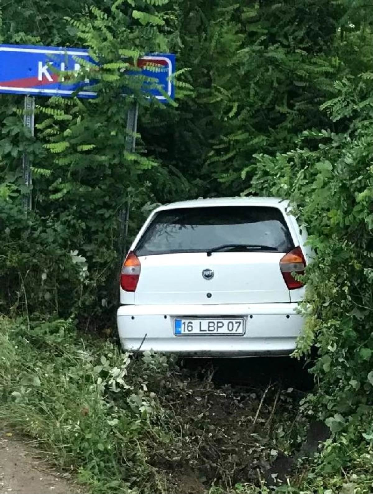 Kontrolden çıkan otomobil ağaca çarptı, sürücü ve 2 çocuğu yaralandı