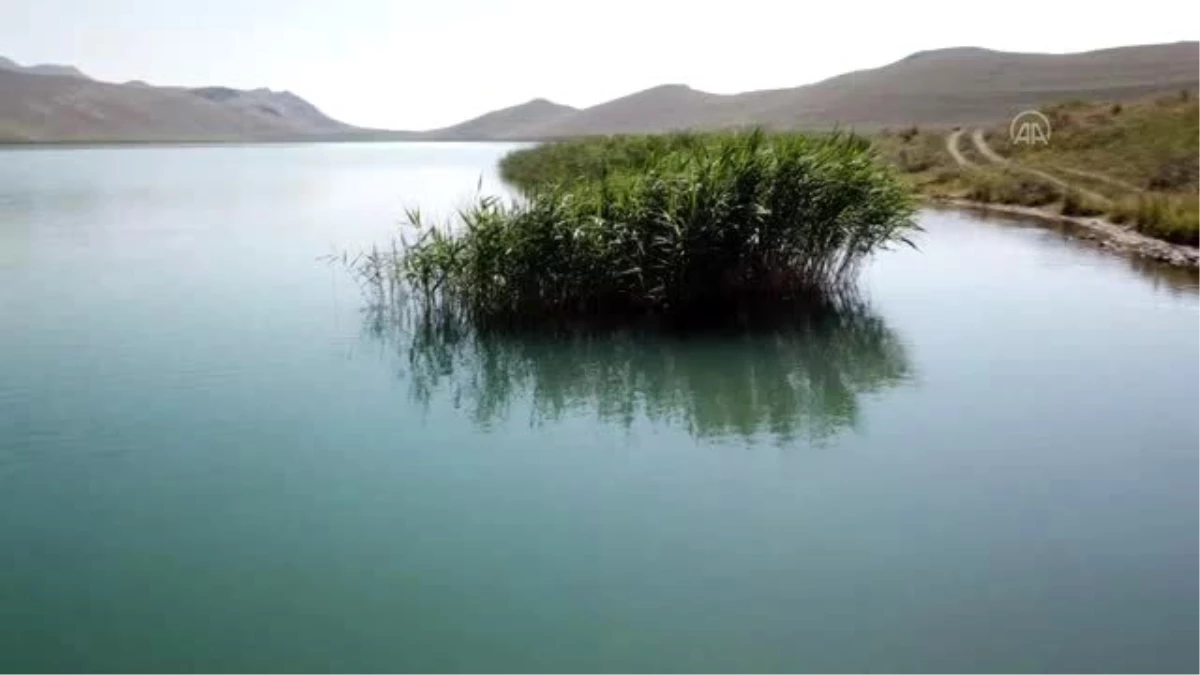 "Kuş cenneti" Deniz Gölü, eşsiz güzellikleriyle keşfedilmeyi bekliyor