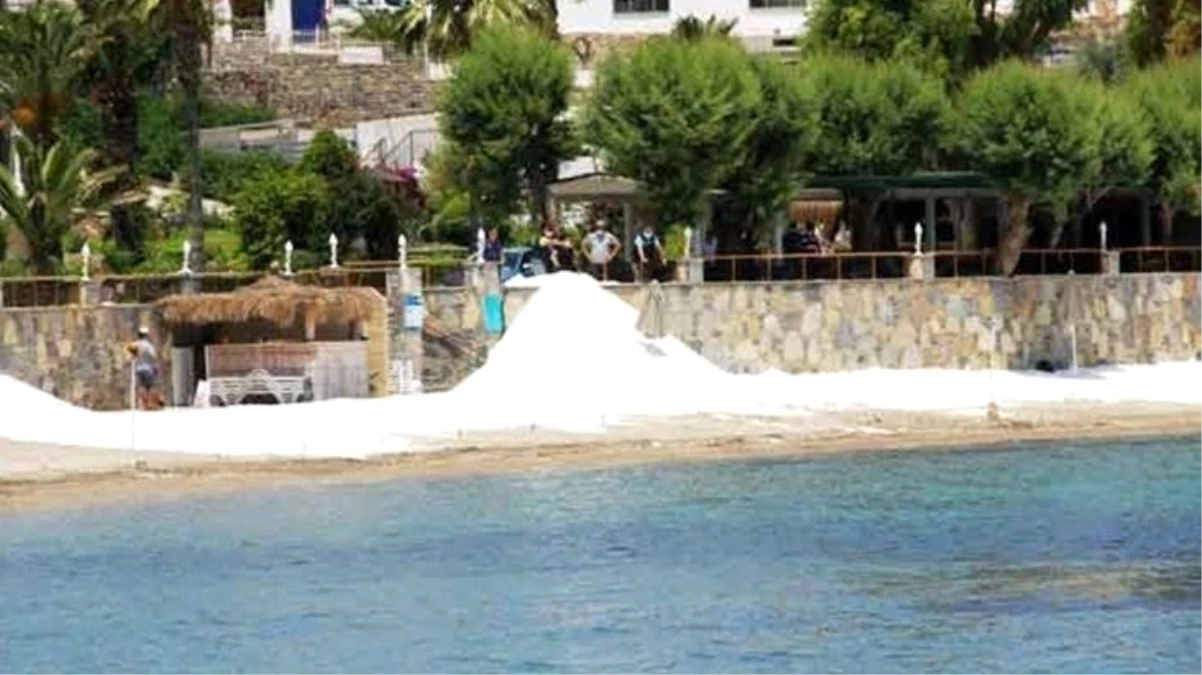 Plajlara serilen kuvars tozu deniz çayırlarını yok ediyor