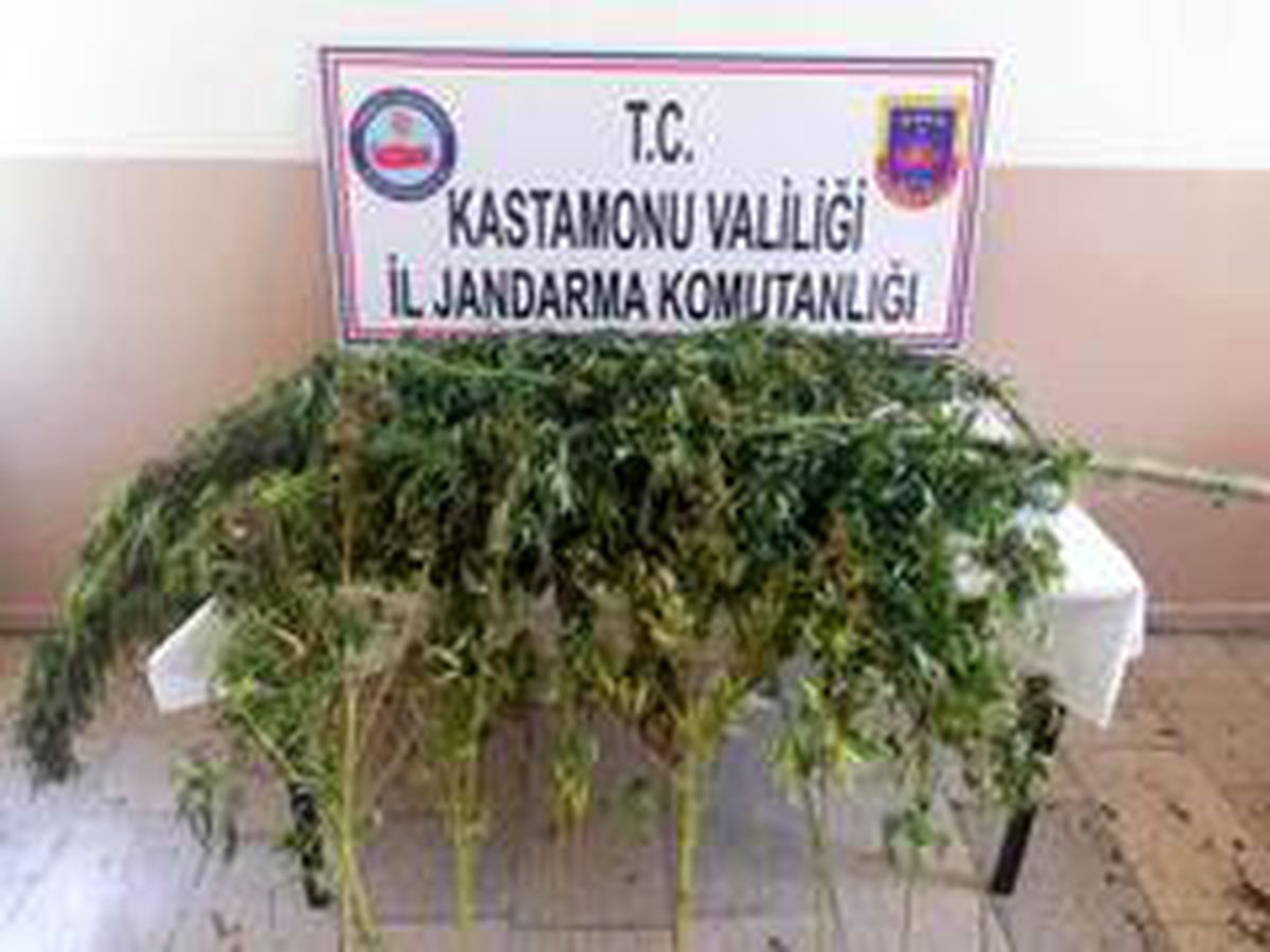 Tosya\'da uyuşturucu operasyonu: 2 gözaltı