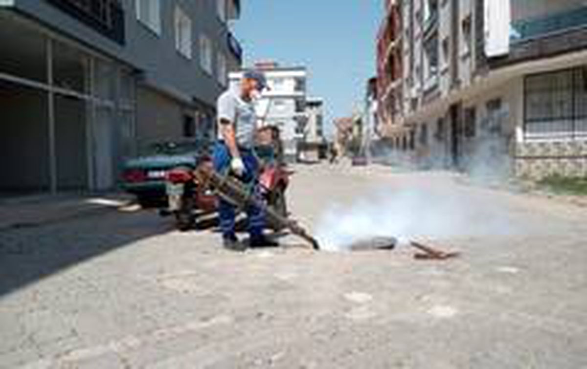 Turgutlu\'da haşerelere karşı etkili mücadele