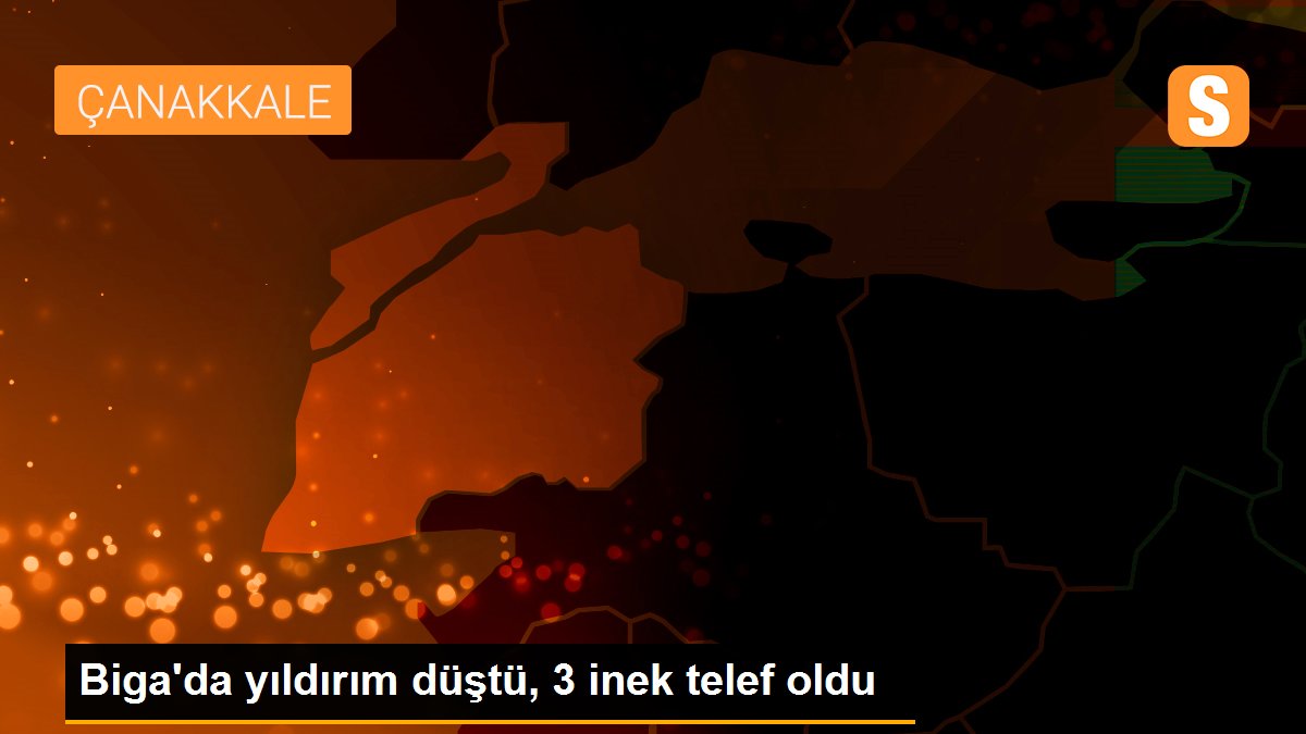 Son dakika haberi | Biga\'da yıldırım düştü, 3 inek telef oldu