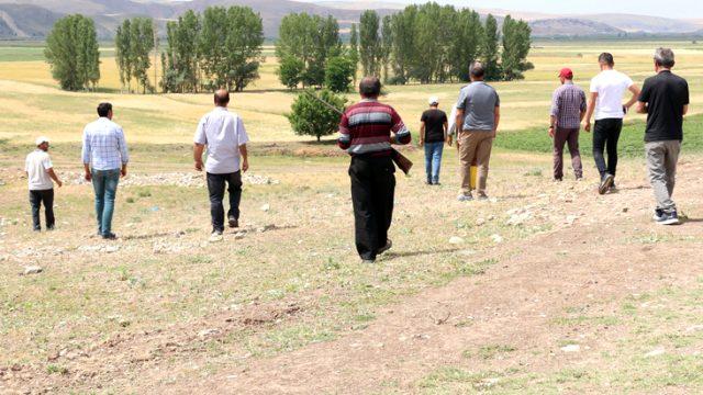 Çorum'da silahlanan köylüler, arazide olduğu öne sürülen aslanı arıyor