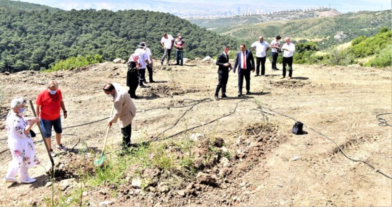 Daha yeşil Bornova,1.250 zeytin fidanı toprakla buluştu