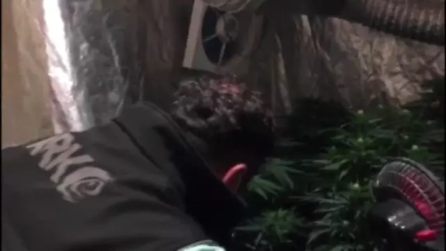 Evde sera kurdu polise yakalandı Son Dakika