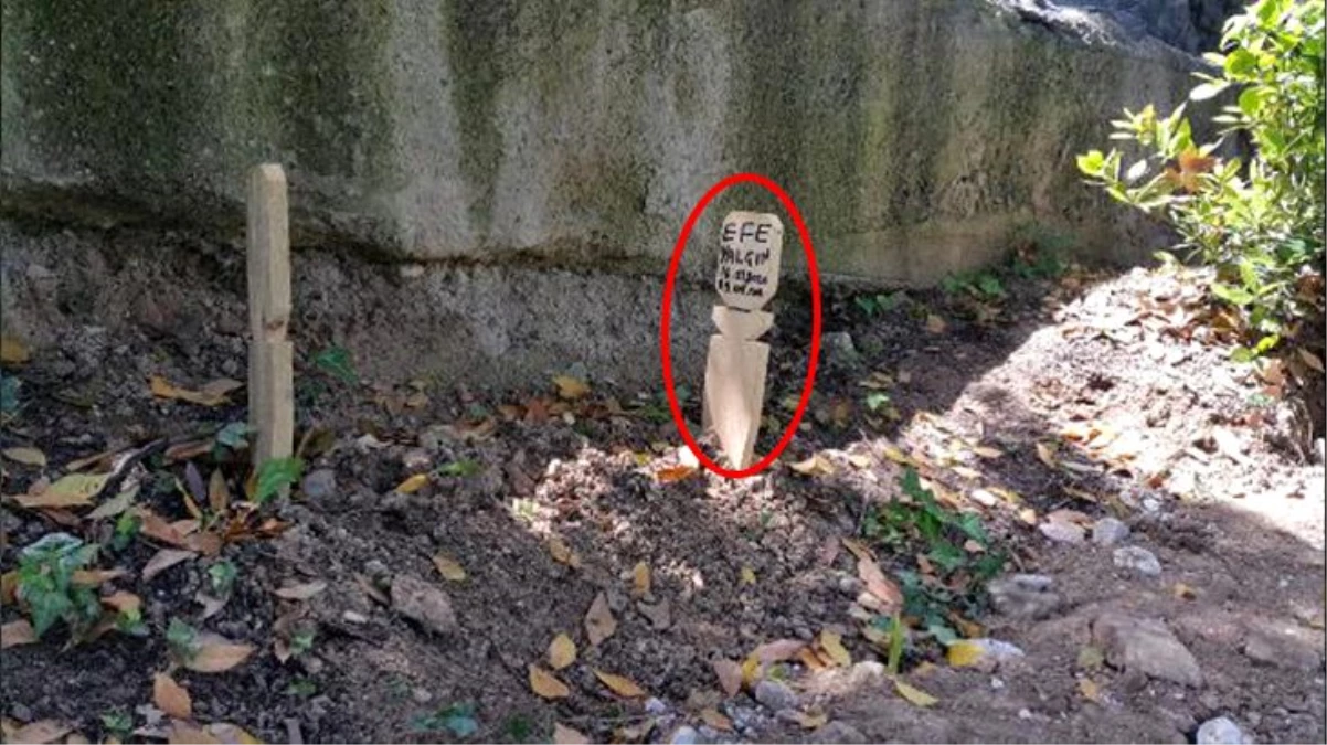 Görevlilerden gizlice kazılan esrarengiz bebek mezarı boş çıktı