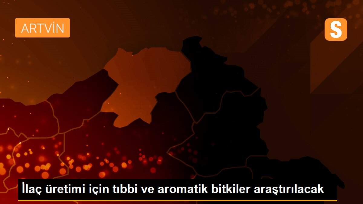 İlaç üretimi için tıbbi ve aromatik bitkiler araştırılacak