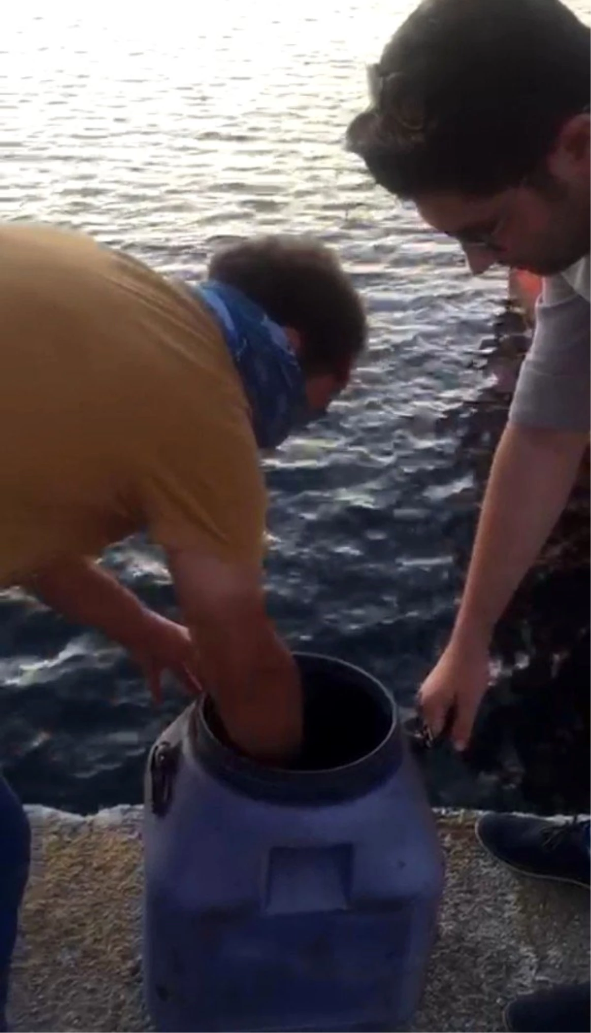 Kilosu altın değerinde olan deniz patlıcanını avlarken polise yakalandılar