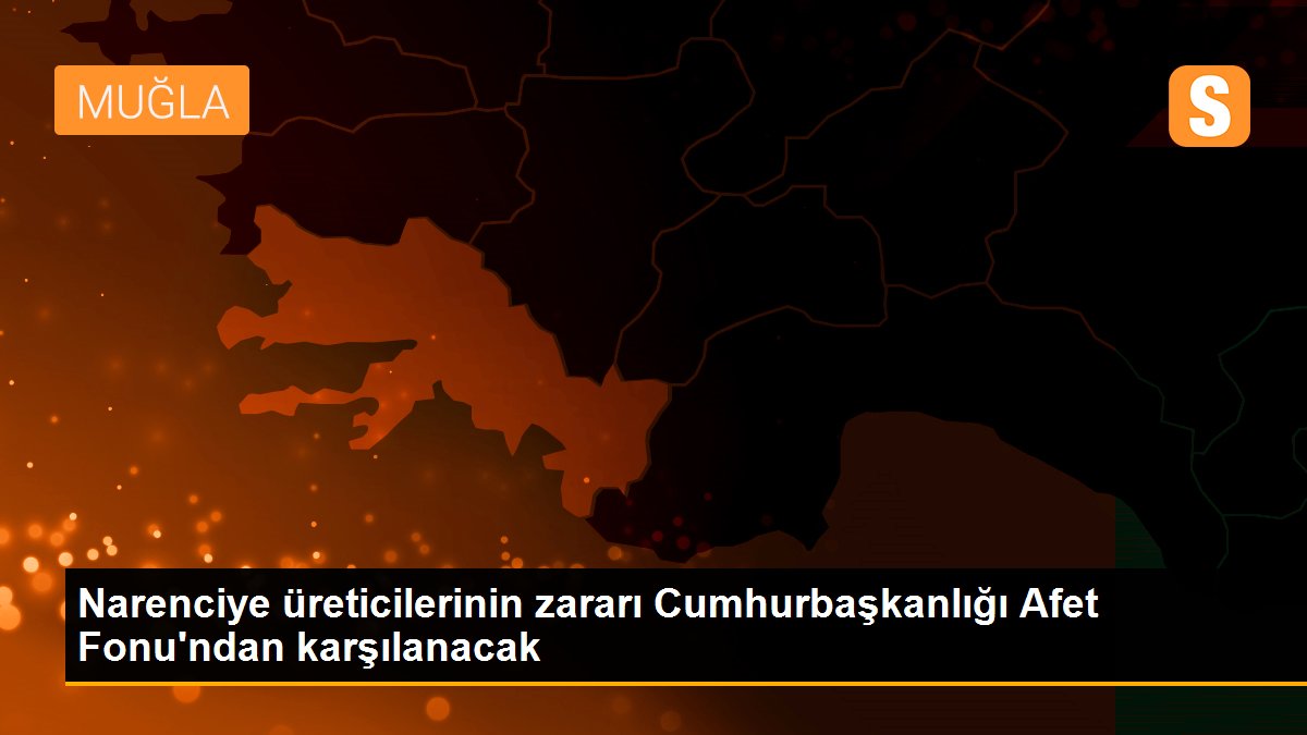 Narenciye üreticilerinin zararı Cumhurbaşkanlığı Afet Fonu\'ndan karşılanacak