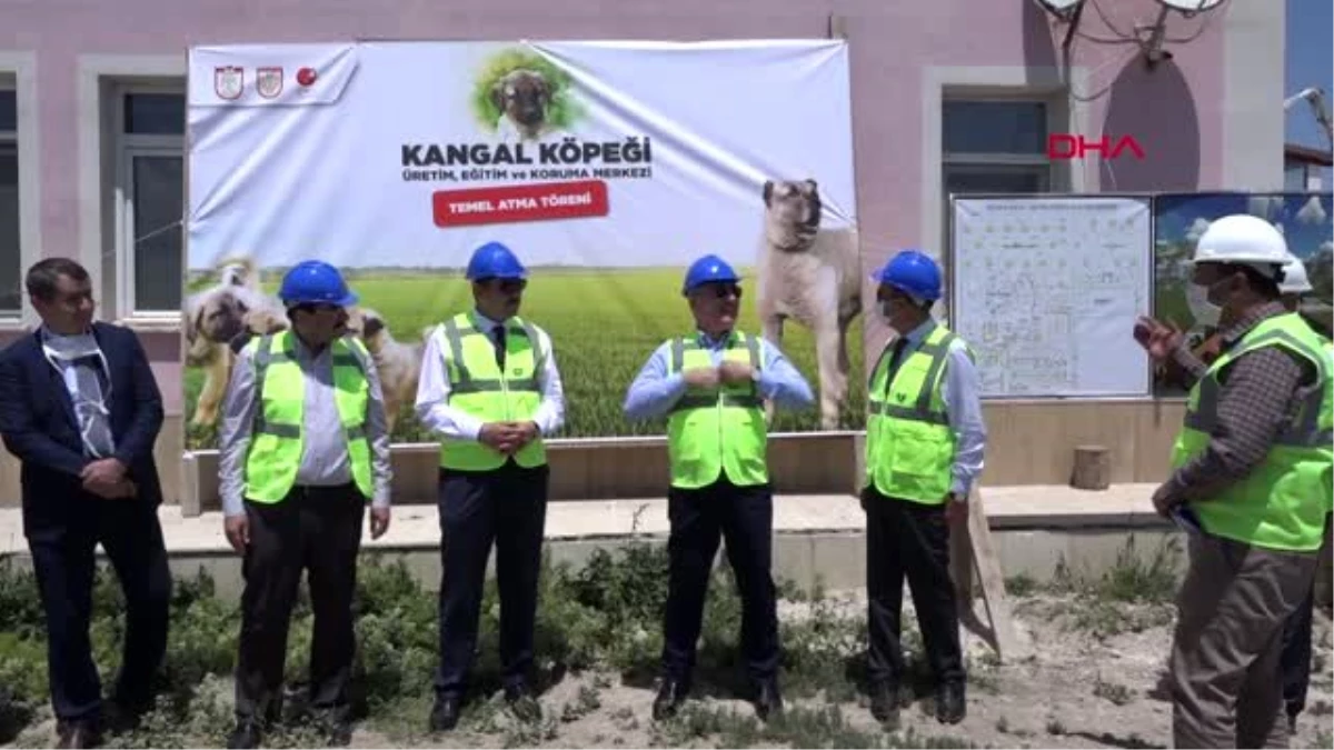 SİVAS Kangal köpekleri için planlanan 7 milyon liralık tesisin temeli atıldı