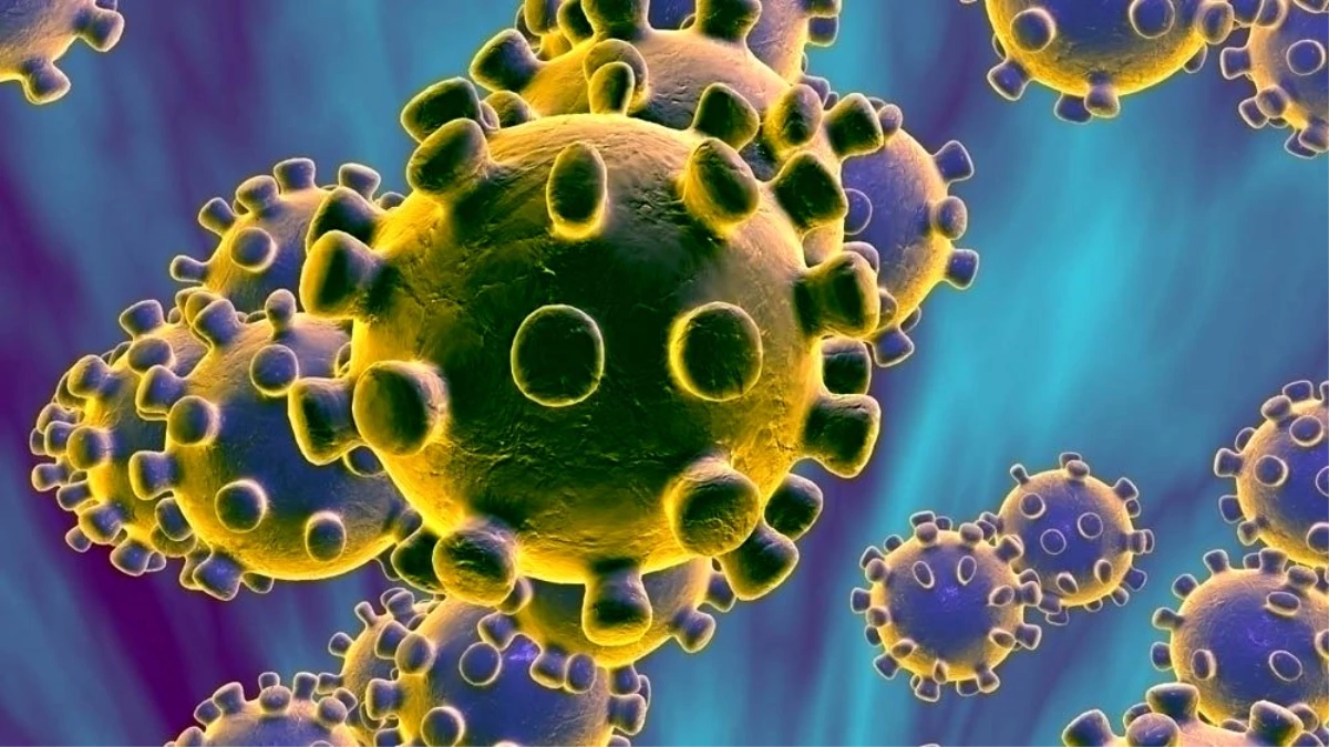 TBMM\'de toplam 10 kişide korona virüs görüldü
