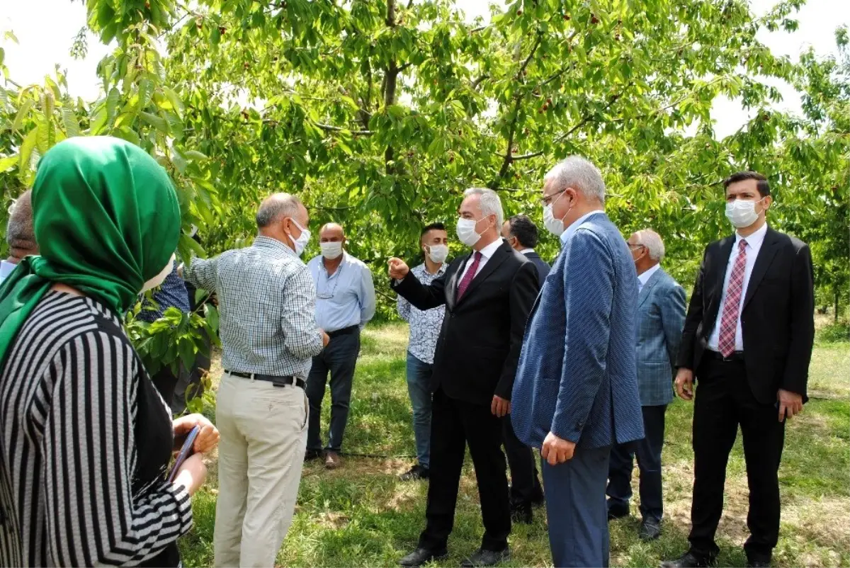 Vali Seymenoğlu, ANA FRUIT Tesislerini ziyaret etti