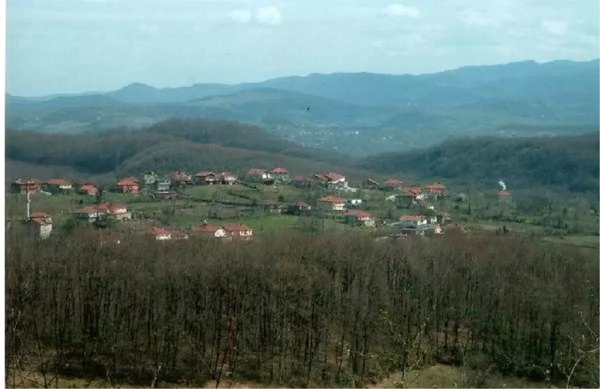 Son dakika haberi: Zonguldak\'taki köyde karantinaya alınan ev sayısı 21\'e çıktı